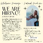 Wholesome Massage and Natural Medicine Logo